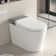 Smart Toilet, Smart Bidet Toilet With Remote Control, Raised Tankless Toilet With LED Display