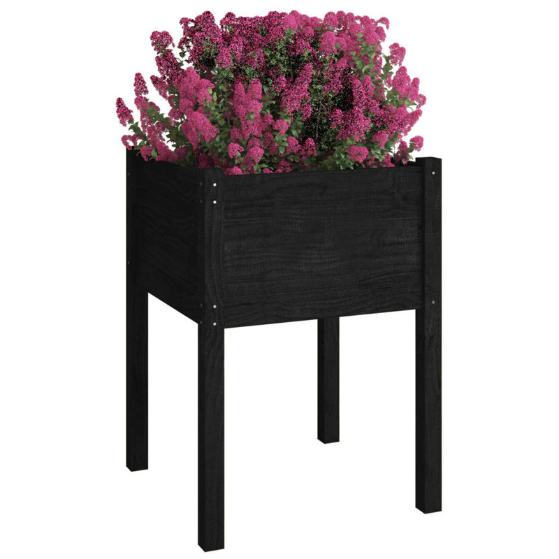 Alastar Wood Elevated Planter, 70cm H x 50cm W x 50cm D, Black