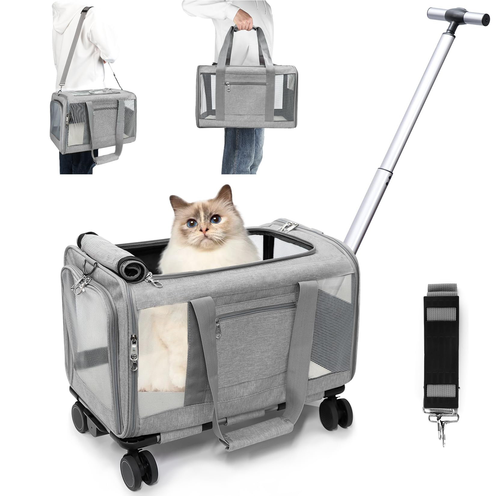 Cat bag outlet vet