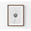 «Quiet Bloom» - Photographie florale en noir et blanc-1903092744-1903092746-1903092750
