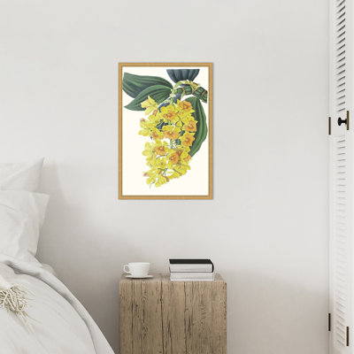 Impression sur toile encadrée «Tropicals VI» par Ciska