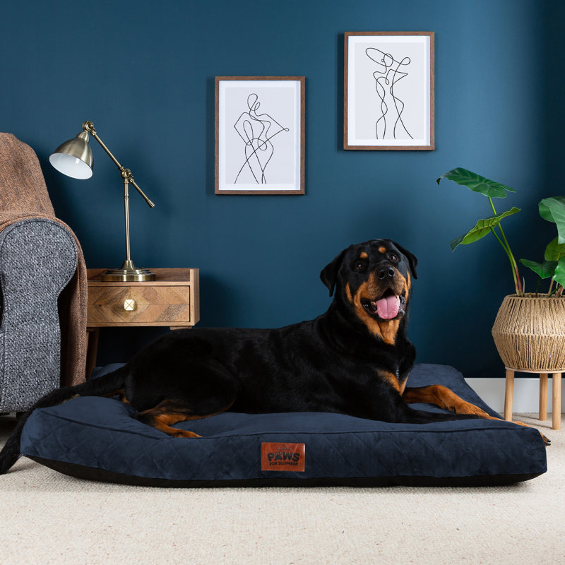 Slumberdown Paws for Slumber Raised Padded Dog Bed – Comfortable, Supportive & Durable Pet Bed for All Breeds, Navy