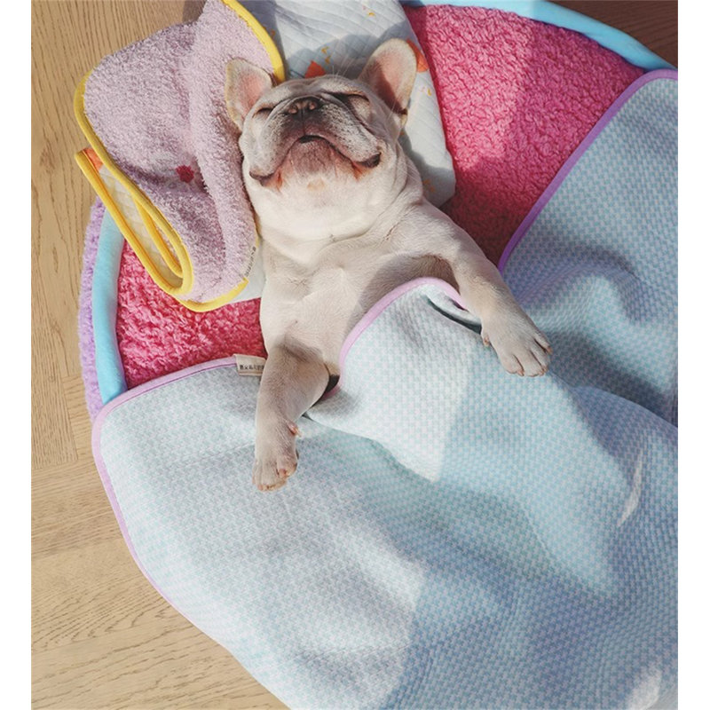 Pet Blanket