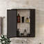 Armoire de salle de bain murale polyvalente avec tablettes intérieures et style moderne