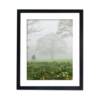 Single Picture Frame Print