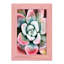 Pastel Succulent Beauty V, reproduction d'art sur papier-638222775-638222777