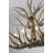 Whittingham Eclectic 9 Light 2 Tier Antler Chandelier