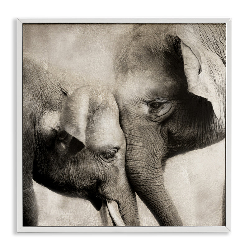 «Elephant & Baby Hug», estampe numérique, conception de CAD Designs, H 17 po x l 17 po, Giclée encadrée blanc bord de mer
