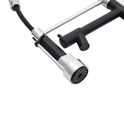 Belfry Kitchen Lippencott Pull Down Kitchen Faucet