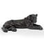 Thacher Animals Statue-1377293903-1377293888