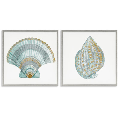 Regal Clam Shell Duo 2pc Framed Giclee Set, design by Lorenzo Collective