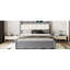 Grand lit en bois avec lit gigogne en bois, gris, 2 tiroirs, lit plateforme avec rangement pratique, option confortable-1628068323