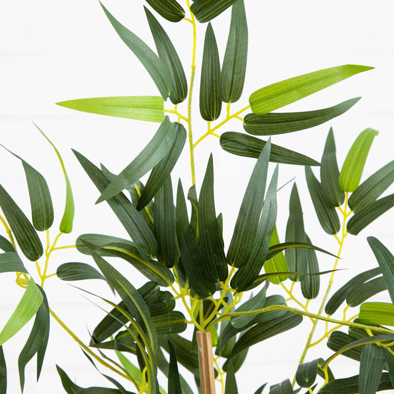 Multi Bambusa Bamboo Silk Tree, 36" H  x 21" W x 21" D