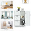Rosalva Accent Cabinet-1092943496