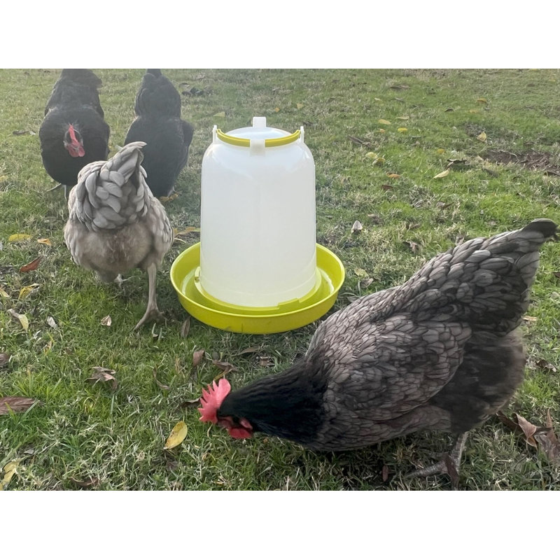 Abreuvoir à poule Bio 2,5 gallons