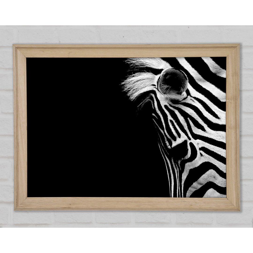 Trauriges Zebra - Druck