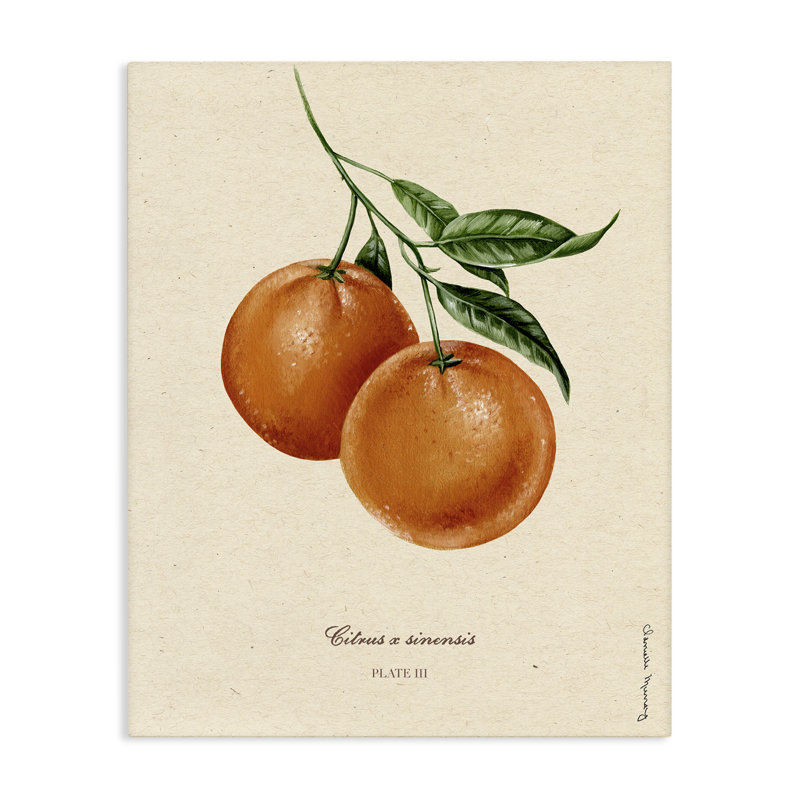«Orange Fruit Portrait Canvas», conception par Danielle Murray, H 20 po x l 16 po