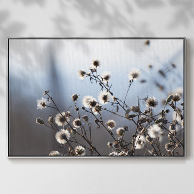 «Spring Fluff», reproduction sur toile