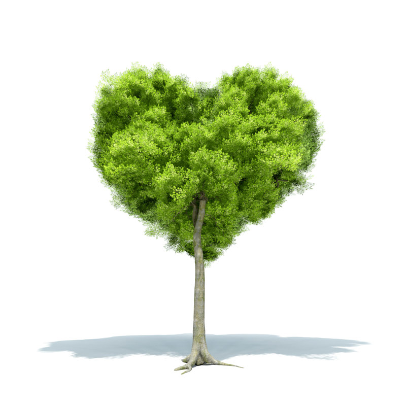 Tree Love by Leonard_c - Wrapped Canvas Print, 122cm H x 122cm W x 3.8cm D