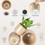 HDHPOT Ceramic Pot Planter-2100550267