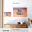 Envol de chouette Brampt-107868829