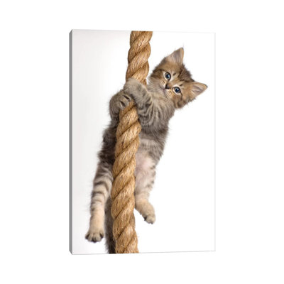 Eric - reproduction de photo sur toile tendue