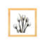 « doréy tulipes i » par albert koetsier,-print-49703854-49703859