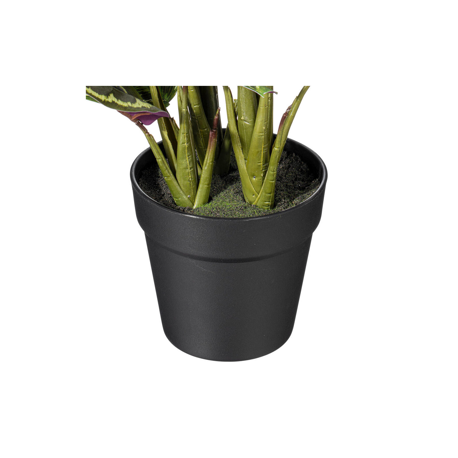 16.1'' Faux Calathea Plant in Pot