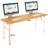 Katie Adjustable Metal Base Computer Desk-1137596309-1137596310