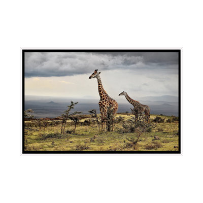 Giraffe by Giuseppe Damico - Floater Frame Print on Canvas