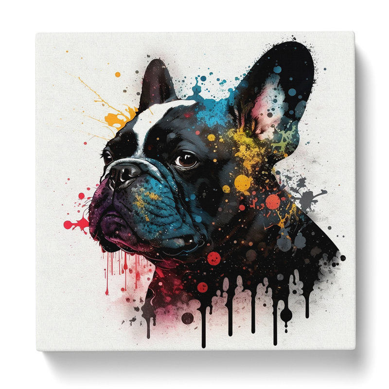 French Bulldog Splatter - Wrapped Canvas, 35cm H x 35cm W x 3cm D