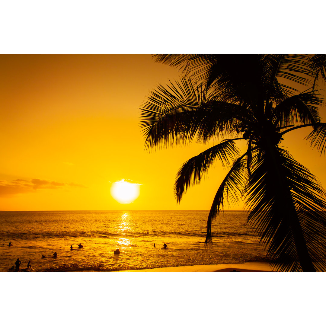 Tropical Sunset - Wrapped Canvas Print