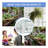 6X10FT Polycarbonate Greenhouse Raised Base And Anchor Aluminum Heavy Duty Walk-In Greenhouses For Outdoor Backyard In All Season
