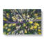 Yellow Forest In Austria - Wrapped Canvas-56641835