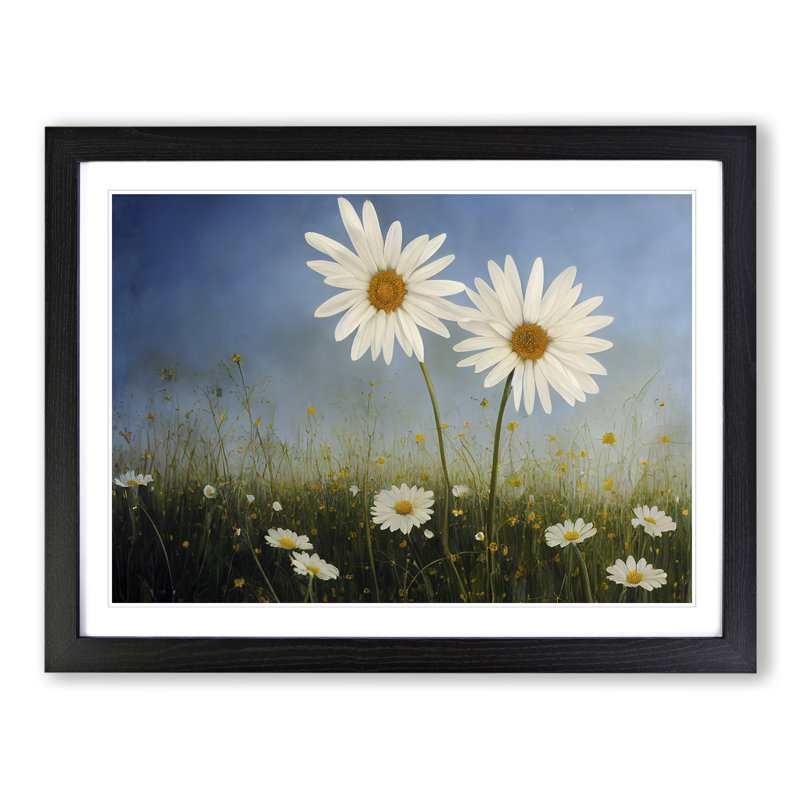 Engaging Daisy Flowers - Single Picture Frame Print, 46cm H x 64cm W x 2cm D, Black Framed