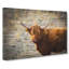 Highland Bull Cow Vol.2 - Wrapped Canvas-61852284