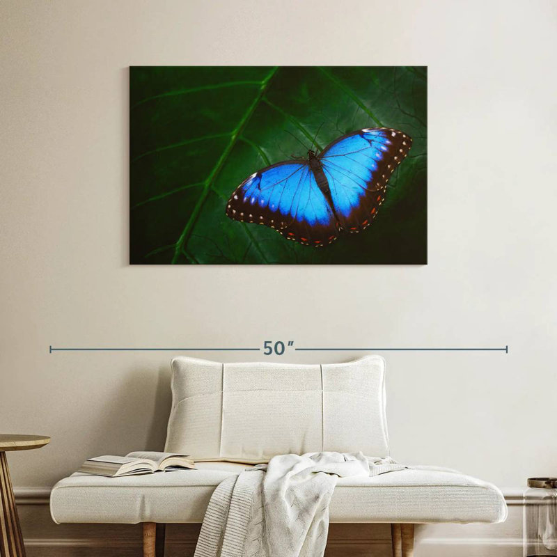 Joli papillon bleu Brampt, H 26 po x l 39 po