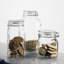 Pot alimentaire Fido, transparent-16994911