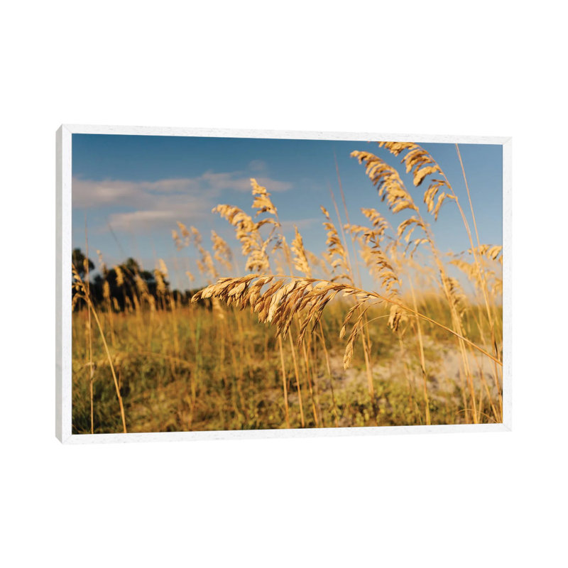 Hilton Head Island by Bethany Young - Print on Canvas, White Framed, 45.72cm H x 66.04cm W x 3.81cm D