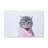 Funny Tabby Cat Bathee Canvas Wall Art