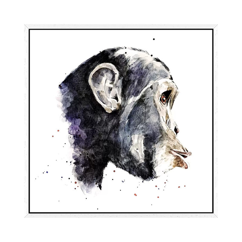Chimp - Print on Canvas, White Framed, 45.72 cm H x 45.72 cm W