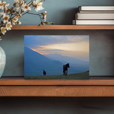 Horses On Croaghaun With Comeragh Mountains County Waterford Ireland by George Munday - Wrapped Canvas Print