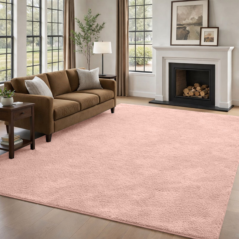 Soft Touch Fluffy Area Rug for Living Room & Bedroom, Light Pink, 80 cm x 150 cm