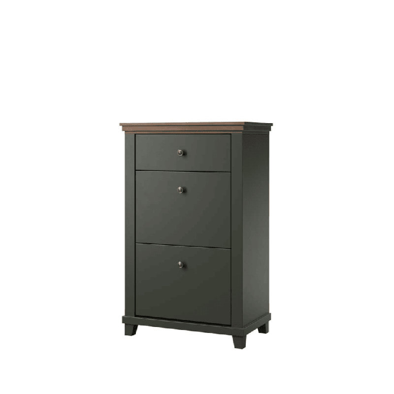 Cannady 28 Pair Shoe Storage Cabinet, Green