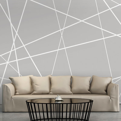 Modern Cobweb 210cm x 300cm Wallpaper