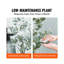 Faux eucalyptus 71,26 po
