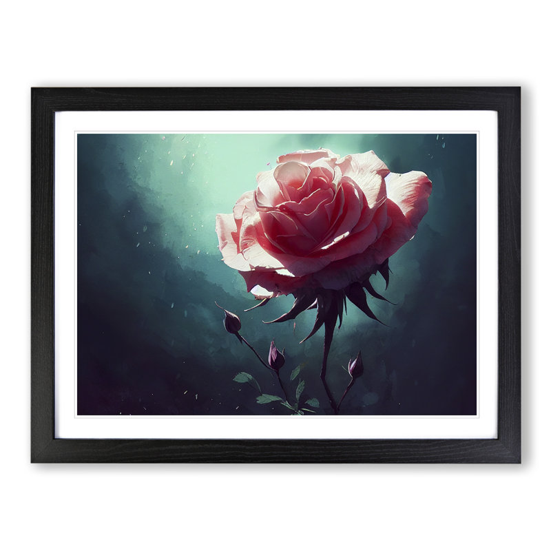 Boundless Rose Flower - Single Picture Frame Print, Black Framed, 25cm H x 34cm W x 2cm D