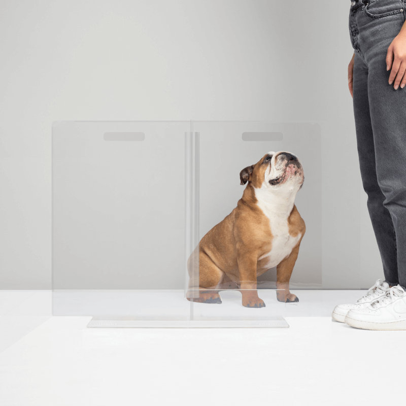 Low Clear Pet Gate Panel, 24” H x 30" W
