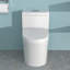 Toilette en céramique une pièce pour la salle de bain, double chasse, brute de 12 pouces, économe en eau (1,24 / 1,43 GPF) avec siège à fermeture douce