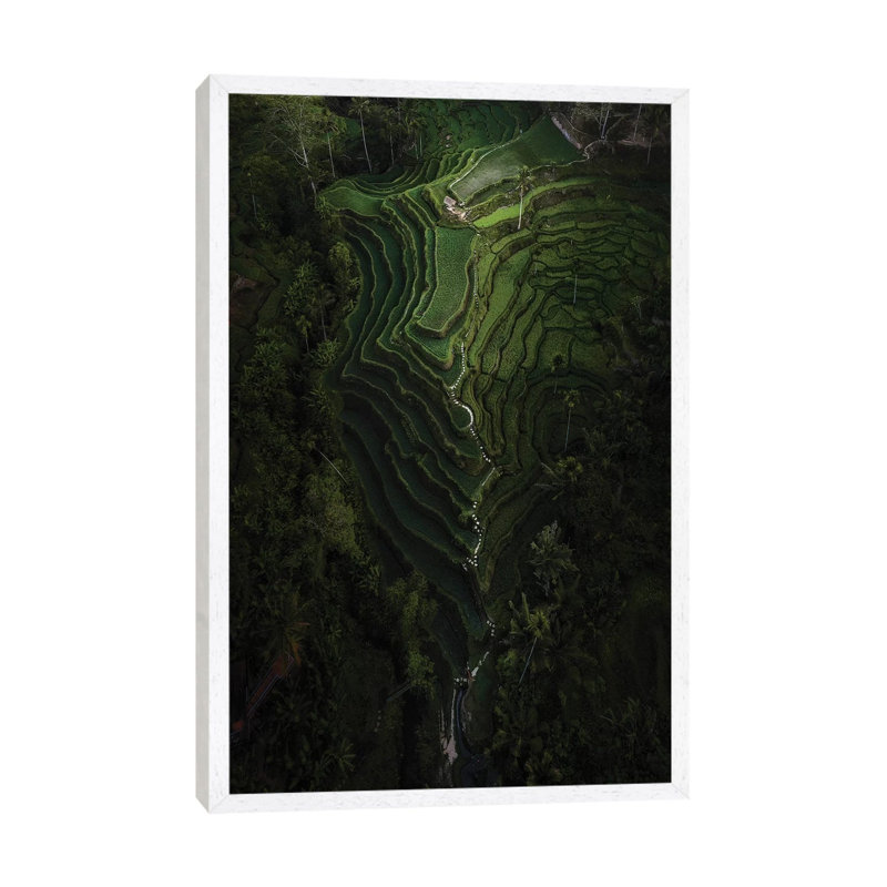 Bali IV 1 Piece Wall Art on Canvas, 66.04cm H x 45.72cm W x 3.81cm D, White Framed